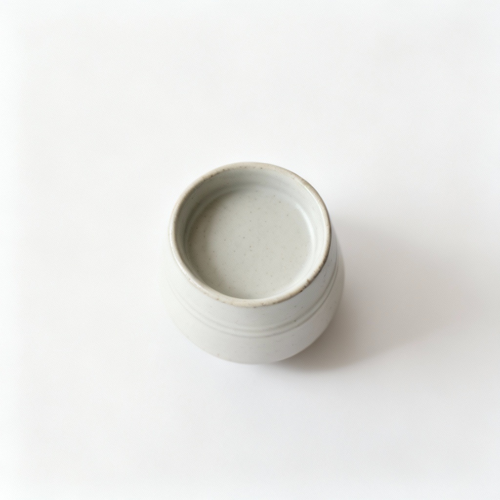 Minimalist Ceramic Succulent Planter - Set of 2, White